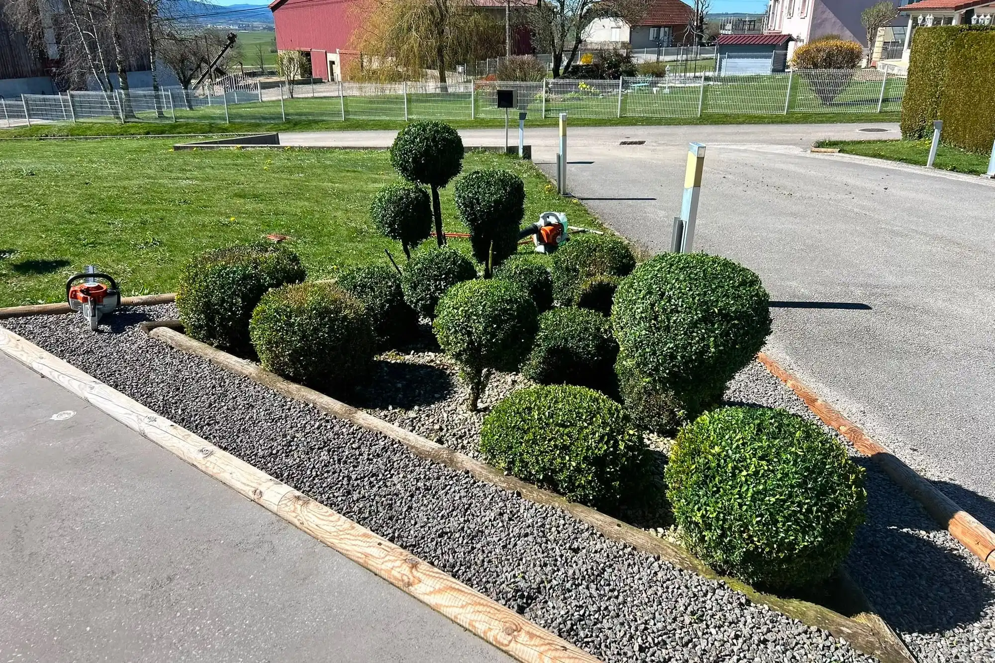 Massif de buis taillés, bordures bois et paillage minéral
