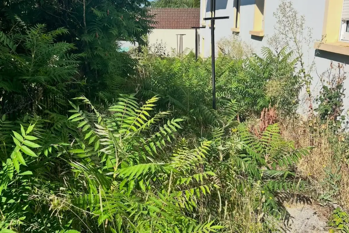 Remise en état d’un terrain pontarlier — avant travaux