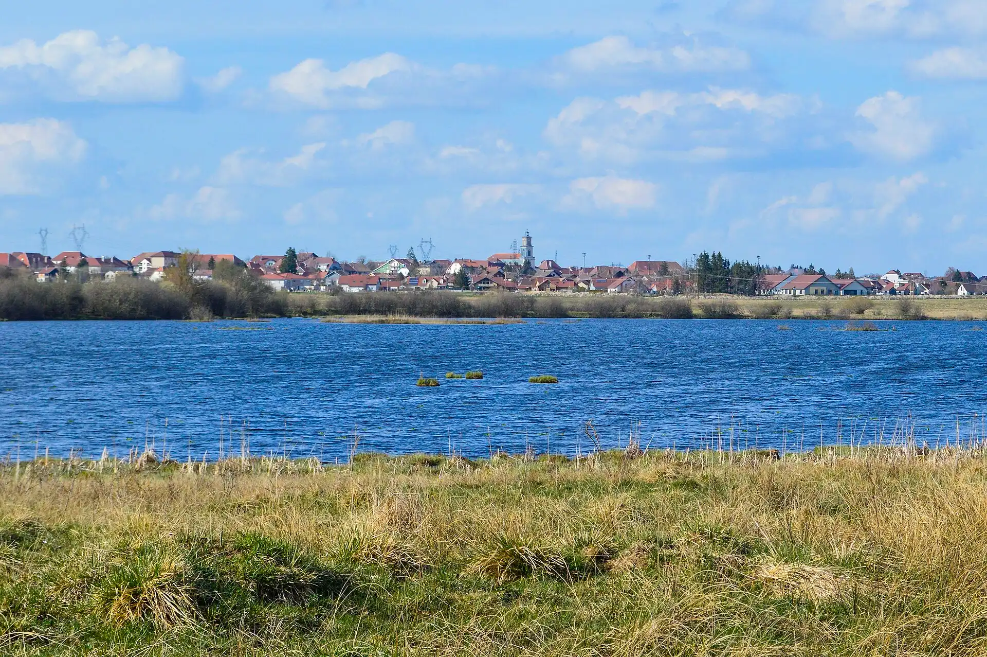 Frasne vu depuis un étang, au bord des tourbières