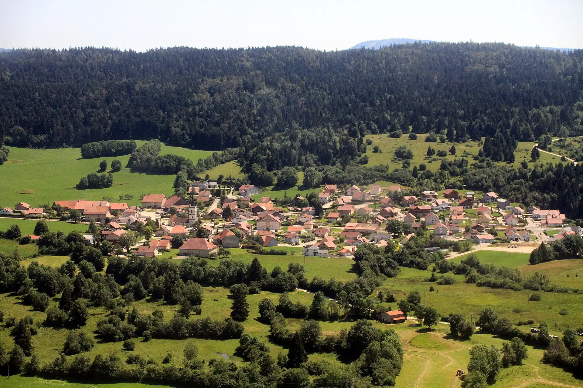 Vue aérienne de Granges-Narboz : le village entouré de prairies et de forêt