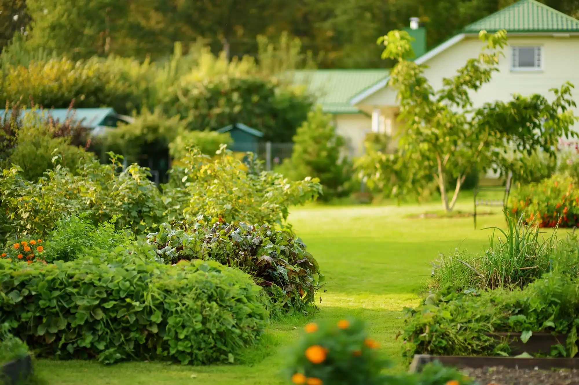 Jardin entretenu en fin de journée
