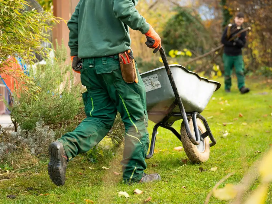 Évacuation des déchets de taille