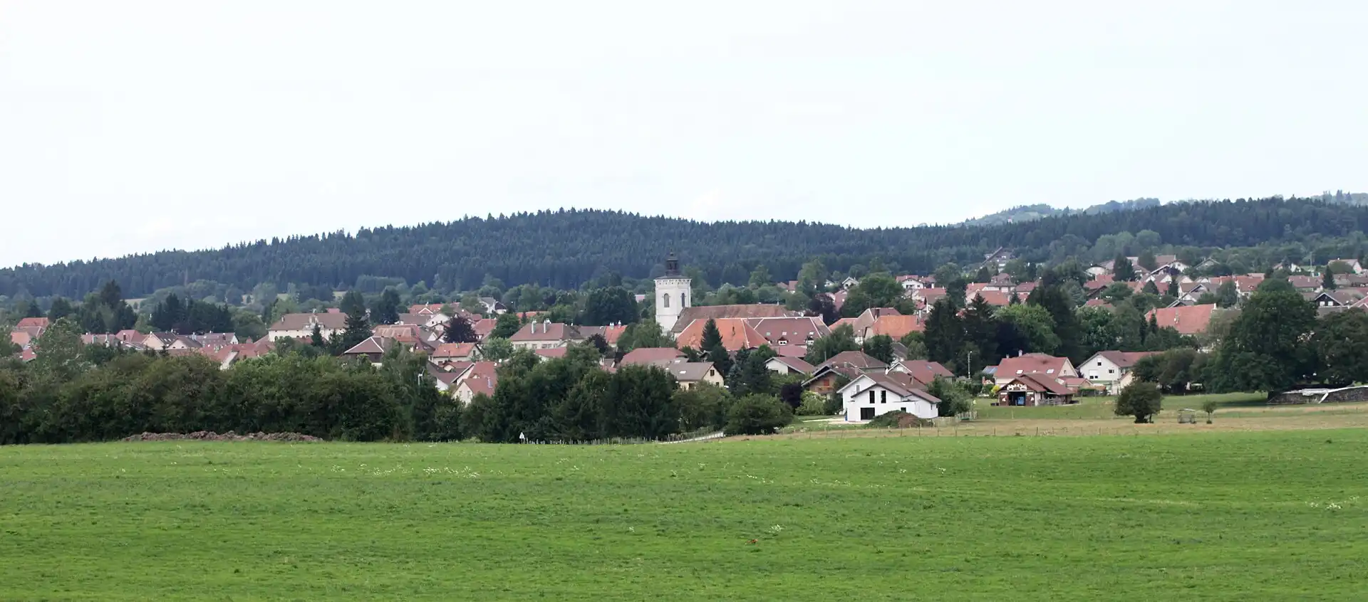 Levier au bord de la forêt, derrière les prairies du plateau