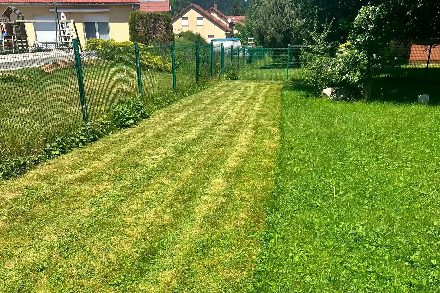 Tonte en cours : bande tondue à côté de l’herbe encore haute